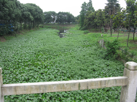 上海青青大酒店主图