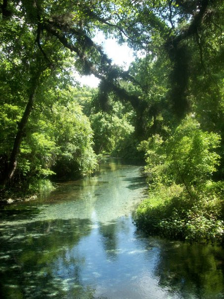 Rock Springs Run State Reserve景点图片