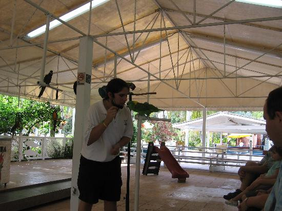 Theater of the Sea-伊斯拉摩拉达必去景点