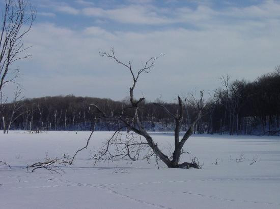 Maple Wood Park景点图片