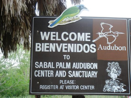 Sabal Palm Sanctuary-布朗斯维尔必去景点