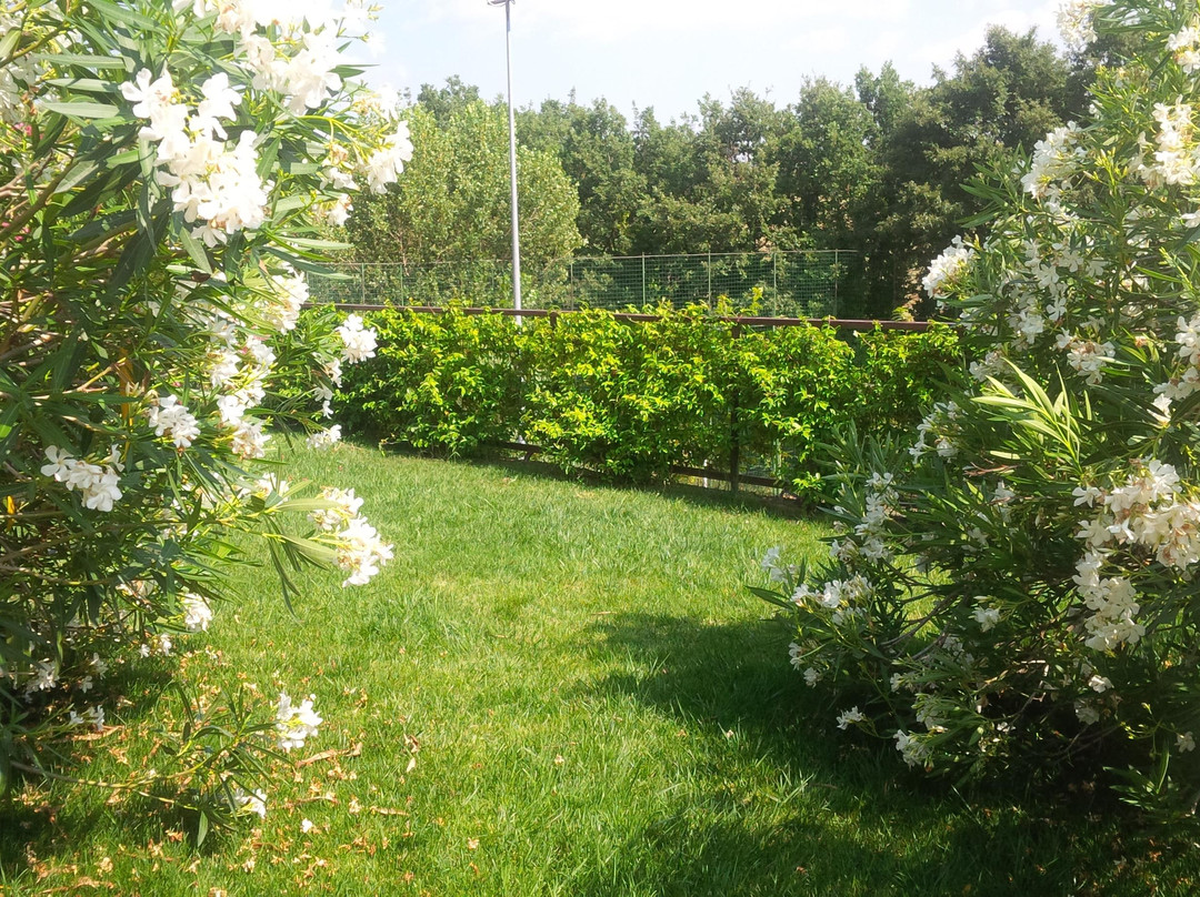 Agriturismo La Ginestra主图