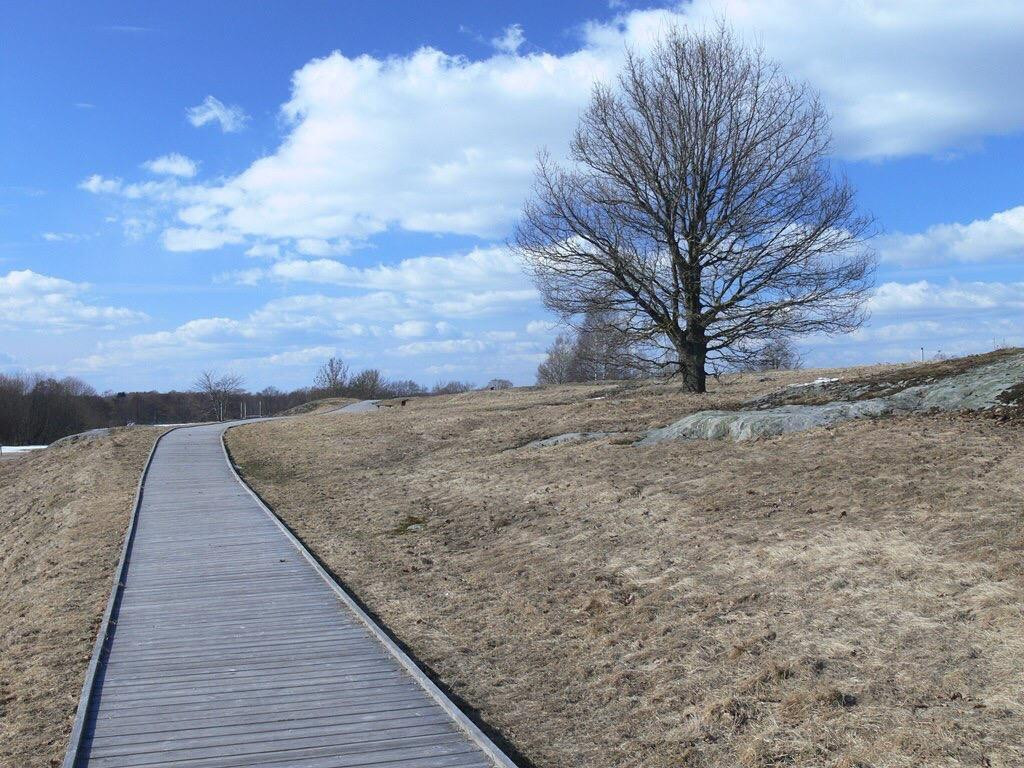 Himmelstalund rock carvings-诺尔雪平必去景点