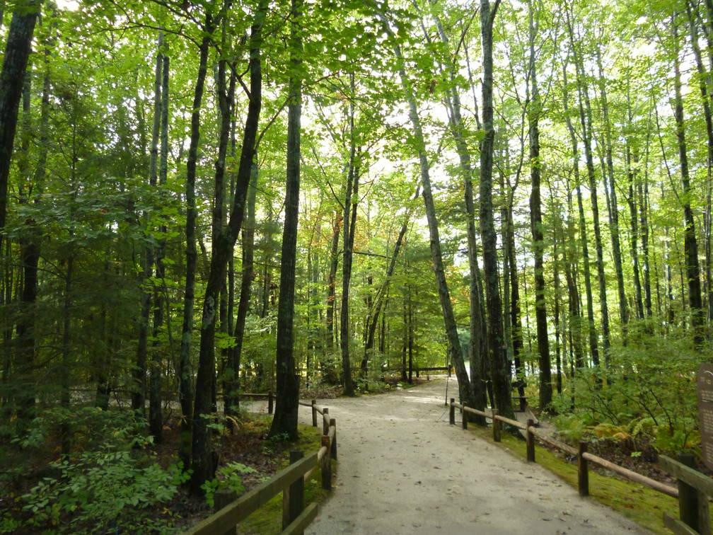 Ferry Beach State Park景点图片