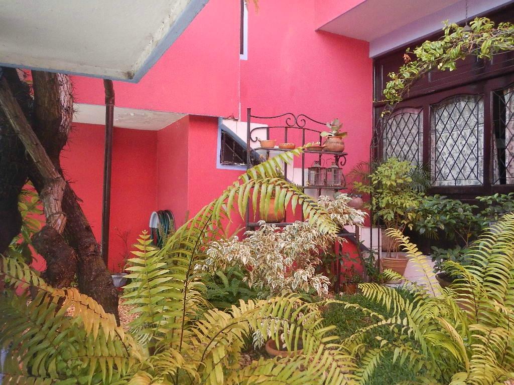 Catemaco Coffee Project-客卧