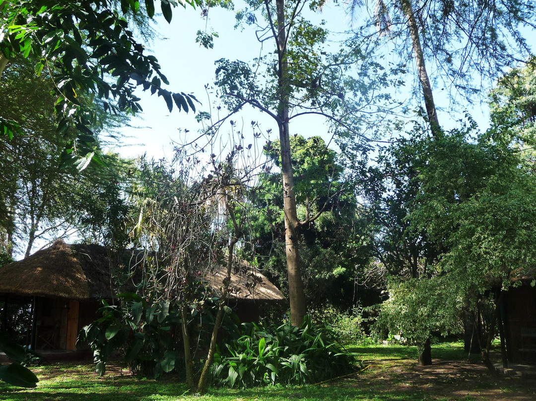 Tunza Lodge