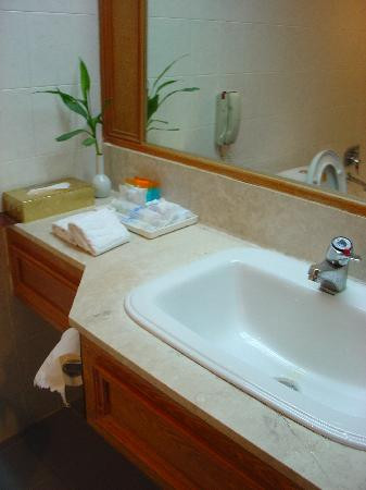 西湖大酒店主图