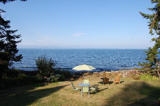 Morning Glory by the Sea