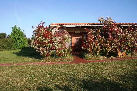 Agriturismo casa Panetta-官方