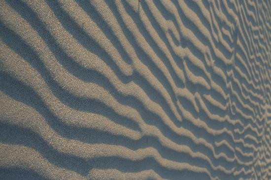 Face Rock State Scenic Viewpoint-班登必去景点