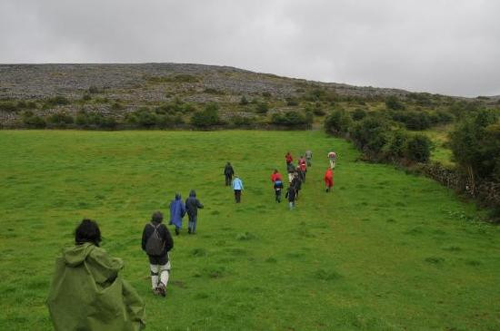 Burren Wild Tours景点图片