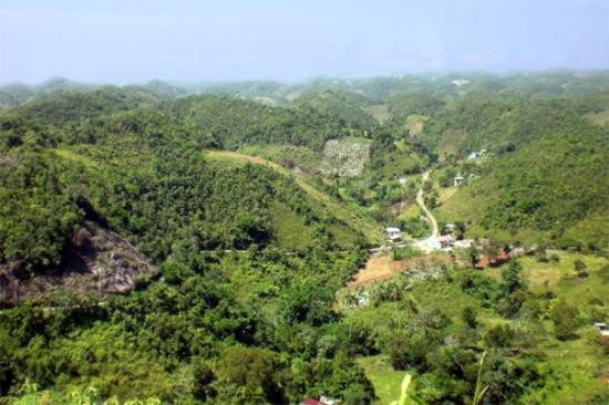 Bob Marley Mausoleum景点图片