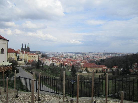 赛格威游布拉格-布拉格必去景点