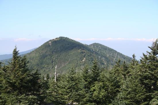 Mount Mitchell State Park景点图片