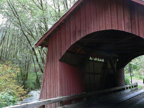 North Fork Yachats Covered Bridge-亚查茨必去景点