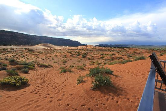 Coral Pink Sand Dunes State Park-卡纳布必去景点