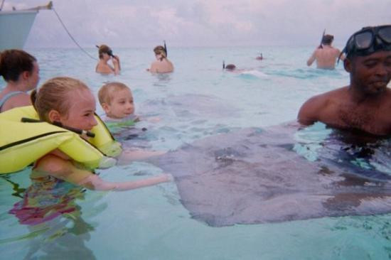 Stingray Adventures Ltd-西湾必去景点