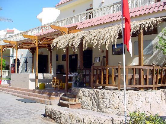 Sinai Dive Club-沙姆沙伊赫必去景点