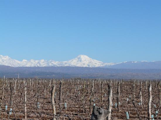 Bodega Ruca Malen景点图片