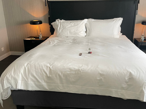 布鲁塞尔中央枕头市酒店主图