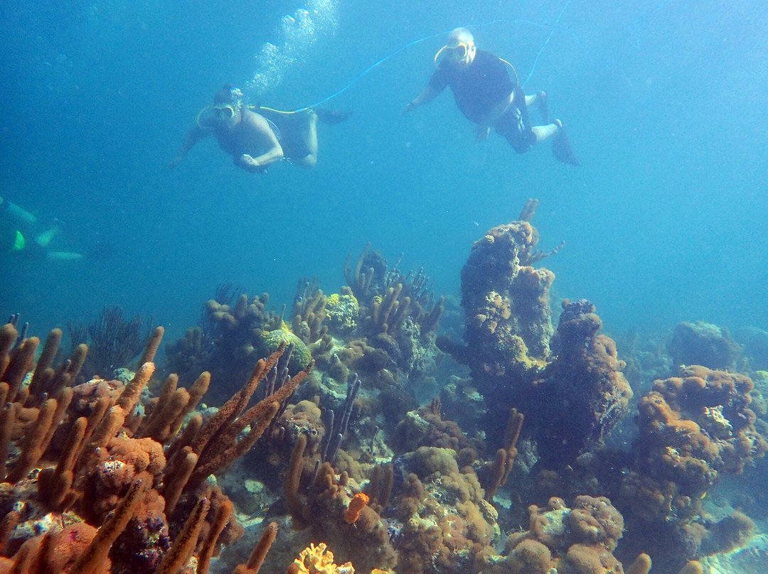 SNUBA Turks and Caicos-普罗维登西亚莱斯必去景点
