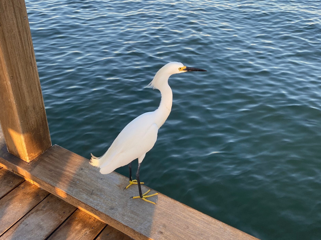 Anna Maria City Pier Grille景点图片