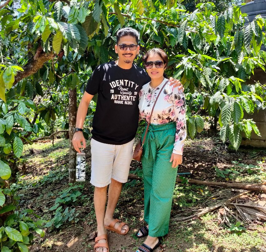 Mercara Gold Estate Coffee Plantation景点图片