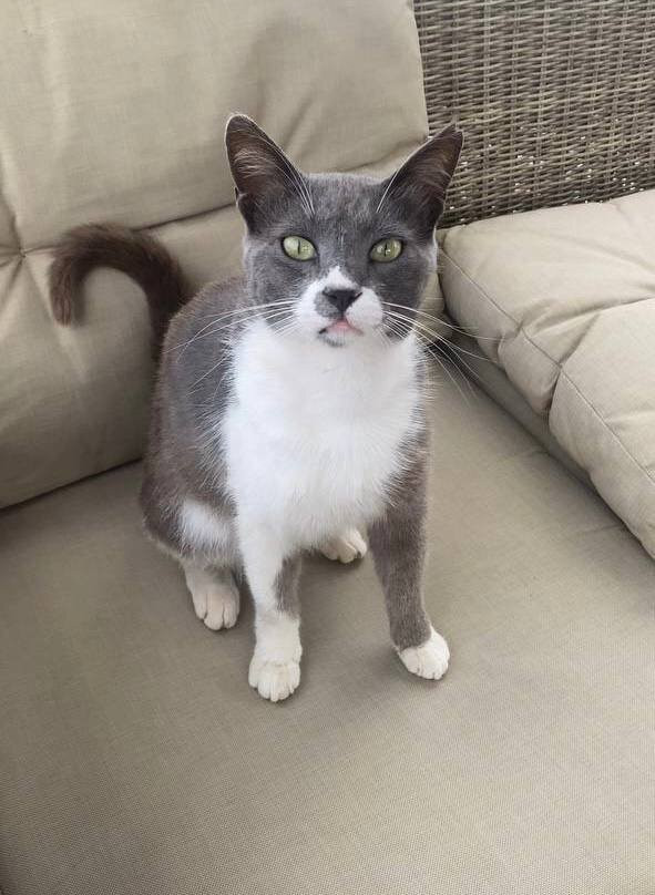 Amethyst Napa Hotel & Spa主图