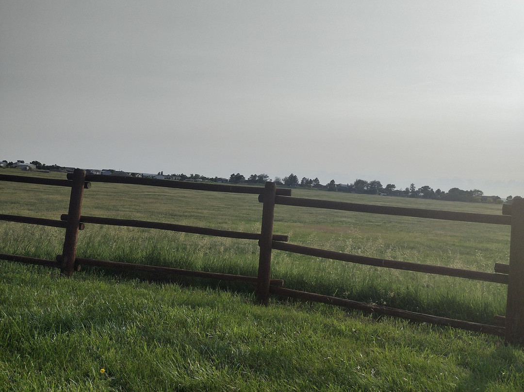 Frontier Cabins Motel主图