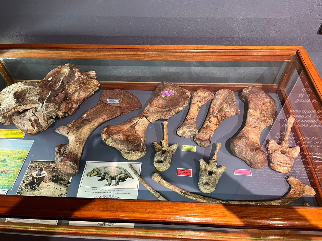 Kitching Fossil Exploration Centre-Nieu-Bethesda必去景点