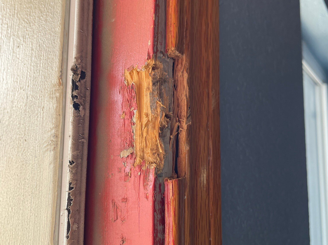 Guest House Motel主图