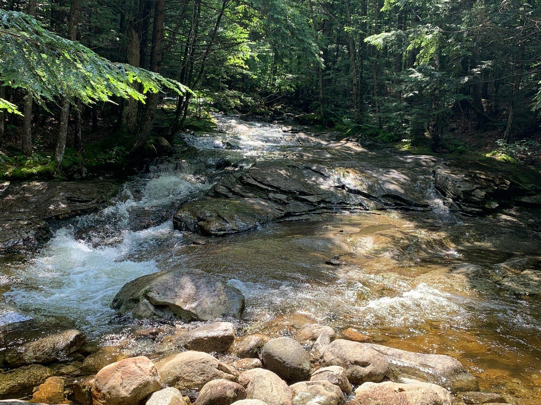 The Coppermine Trail and Bridal Veil Falls景点图片