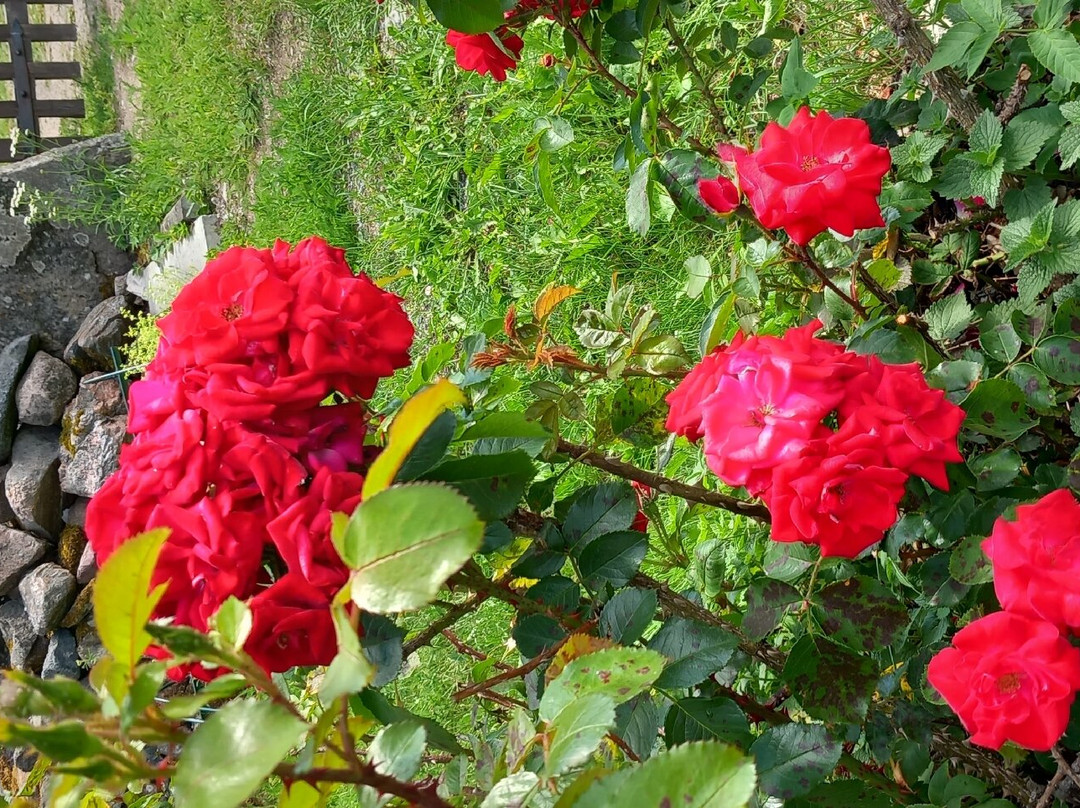 Puhalepa Church-Puhalepa必去景点