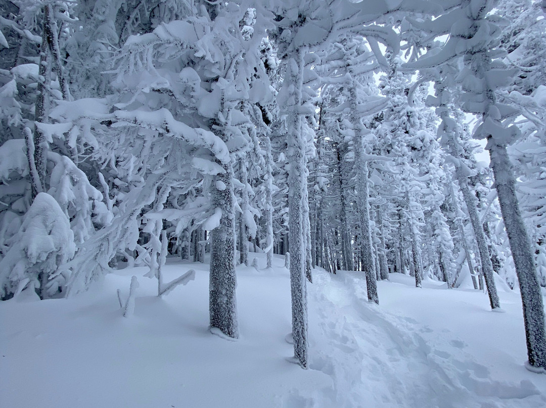 Parc du Massif du Sud景点图片