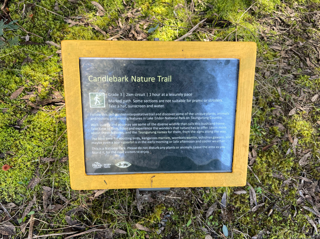Candlebark Nature Trail-Eildon必去景点
