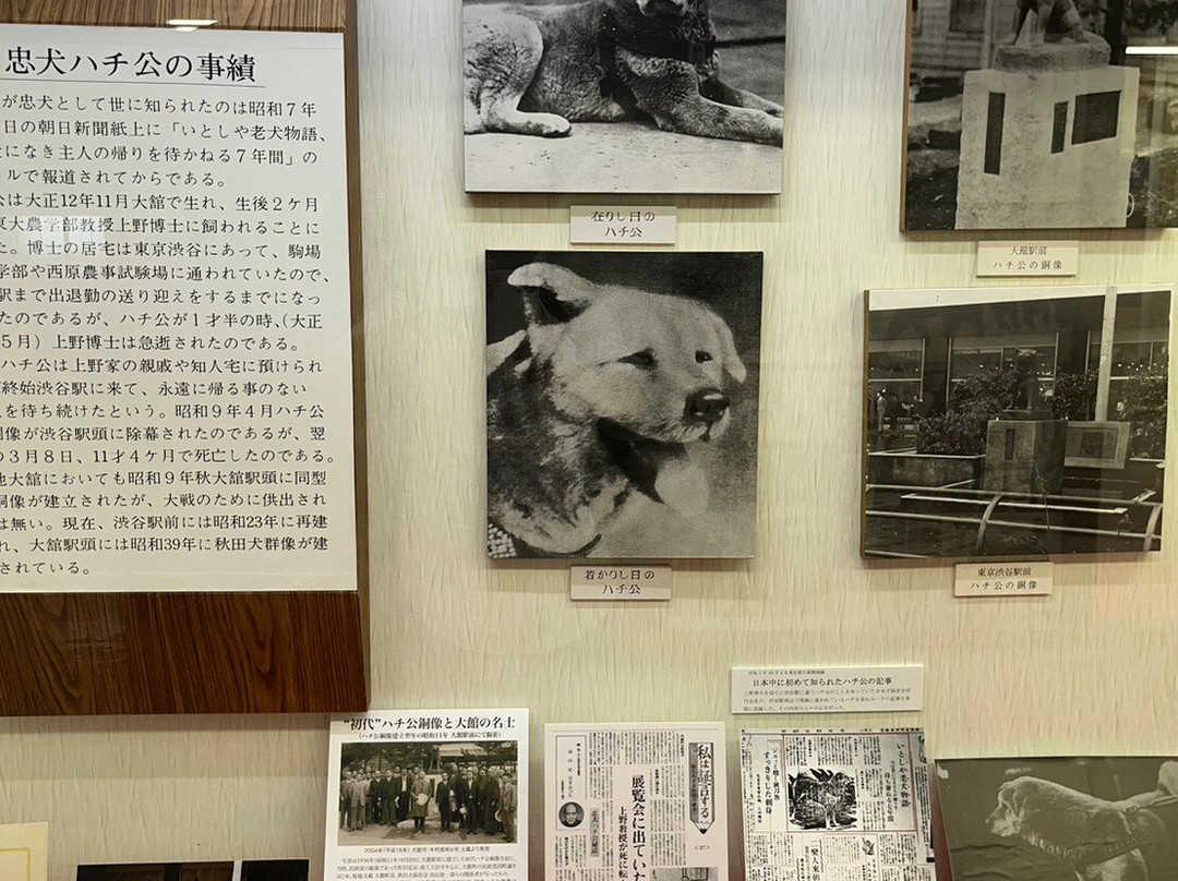 Akitainu Hall-大馆市必去景点