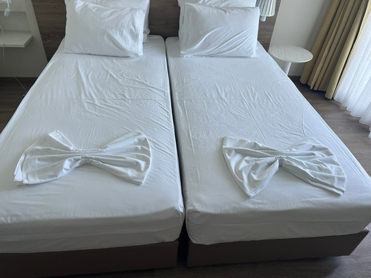 Ammon Zeus Luxury Beach Hotel