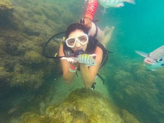 Alagoas Travel-Maceio必去景点