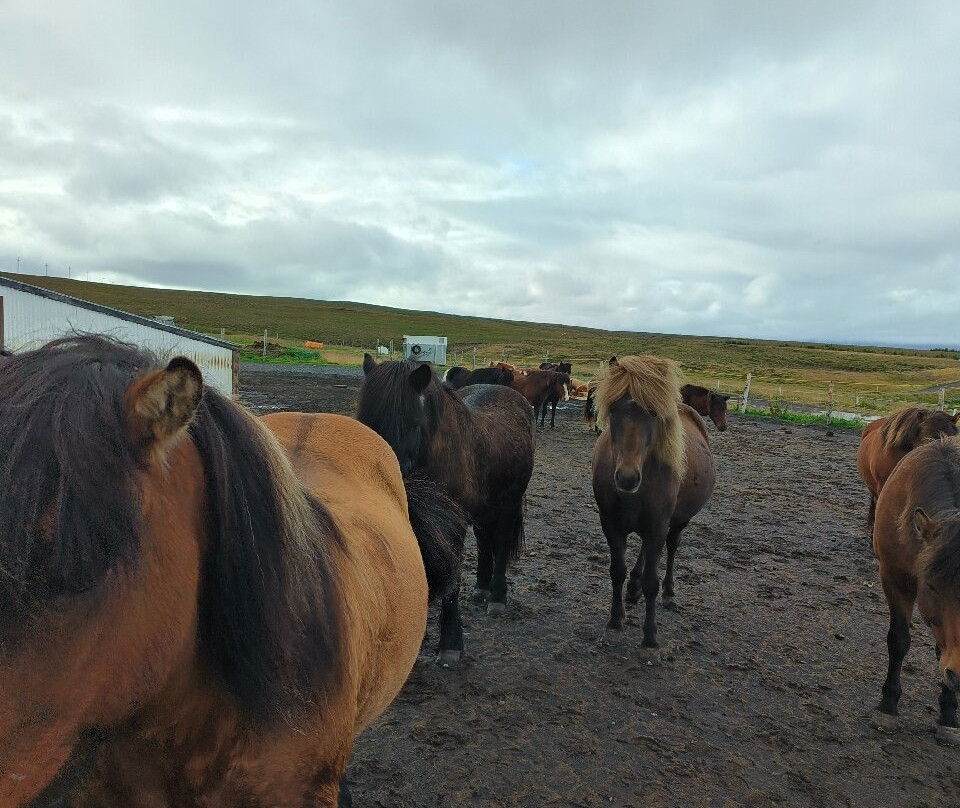Saltvik-胡萨维克必去景点