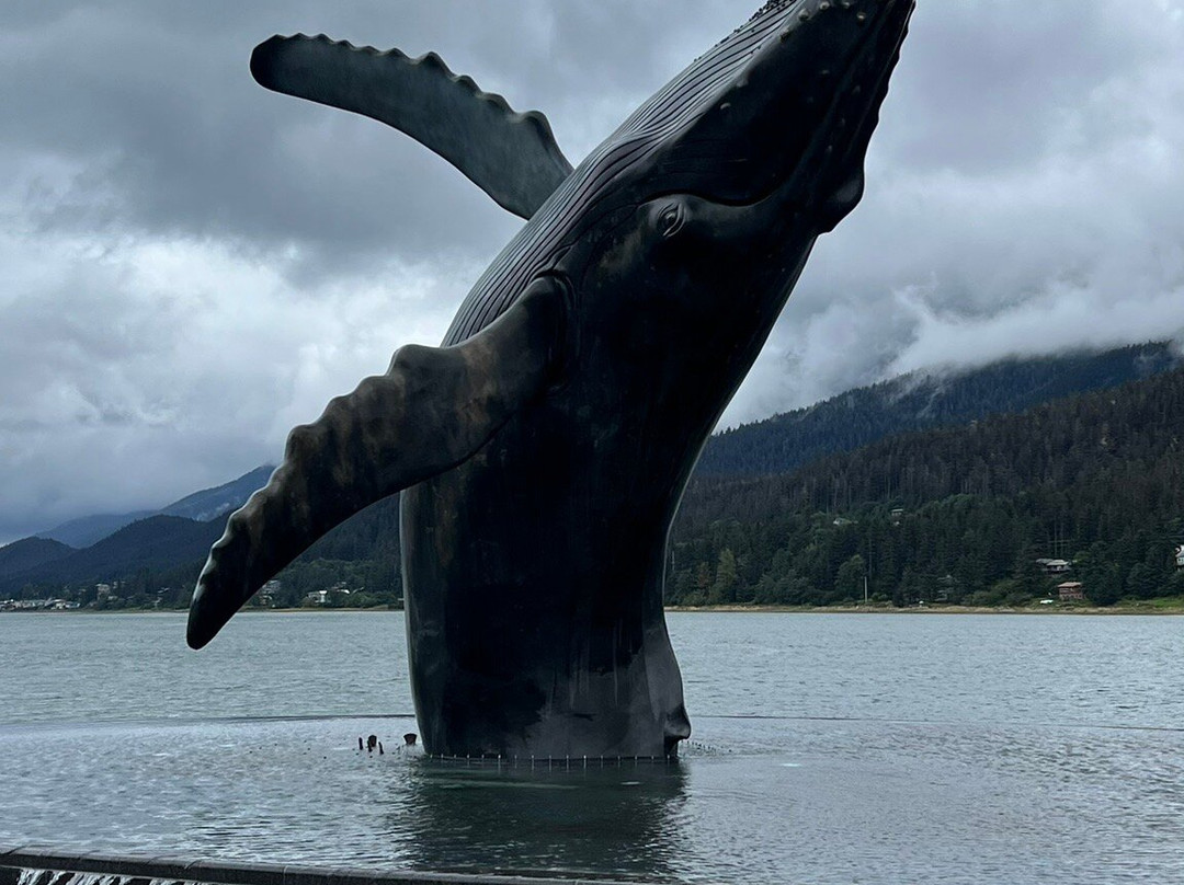 The Whale Project-朱诺必去景点