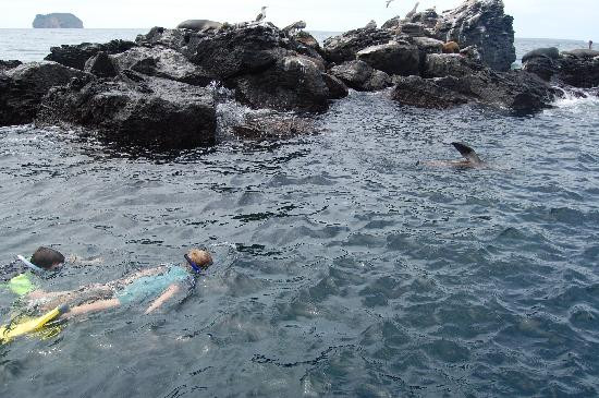 Galapagos Alternative-阿约拉港必去景点