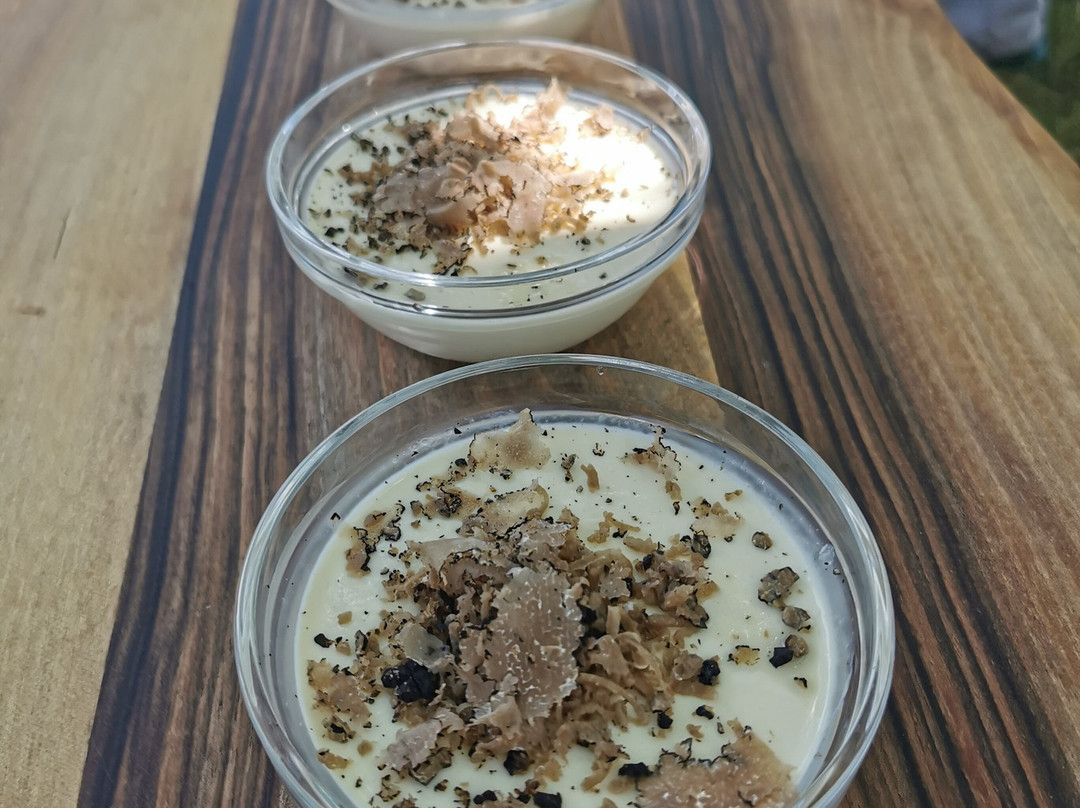 Mati - Truffle-Vipava必去景点