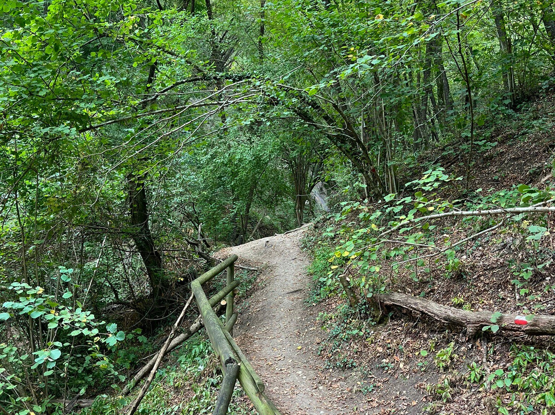 Cascate del Bucamante-Serramazzoni必去景点