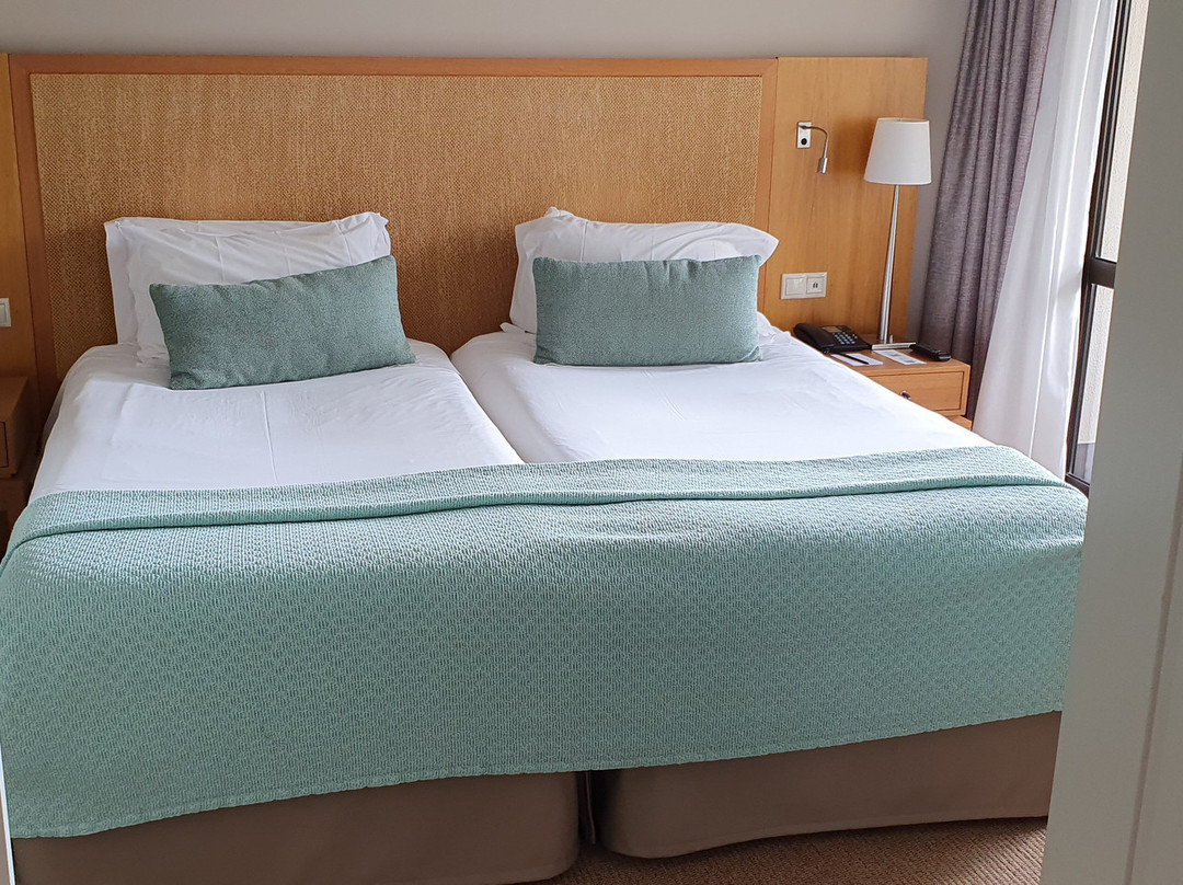 Suite Hotel Eden Mar主图