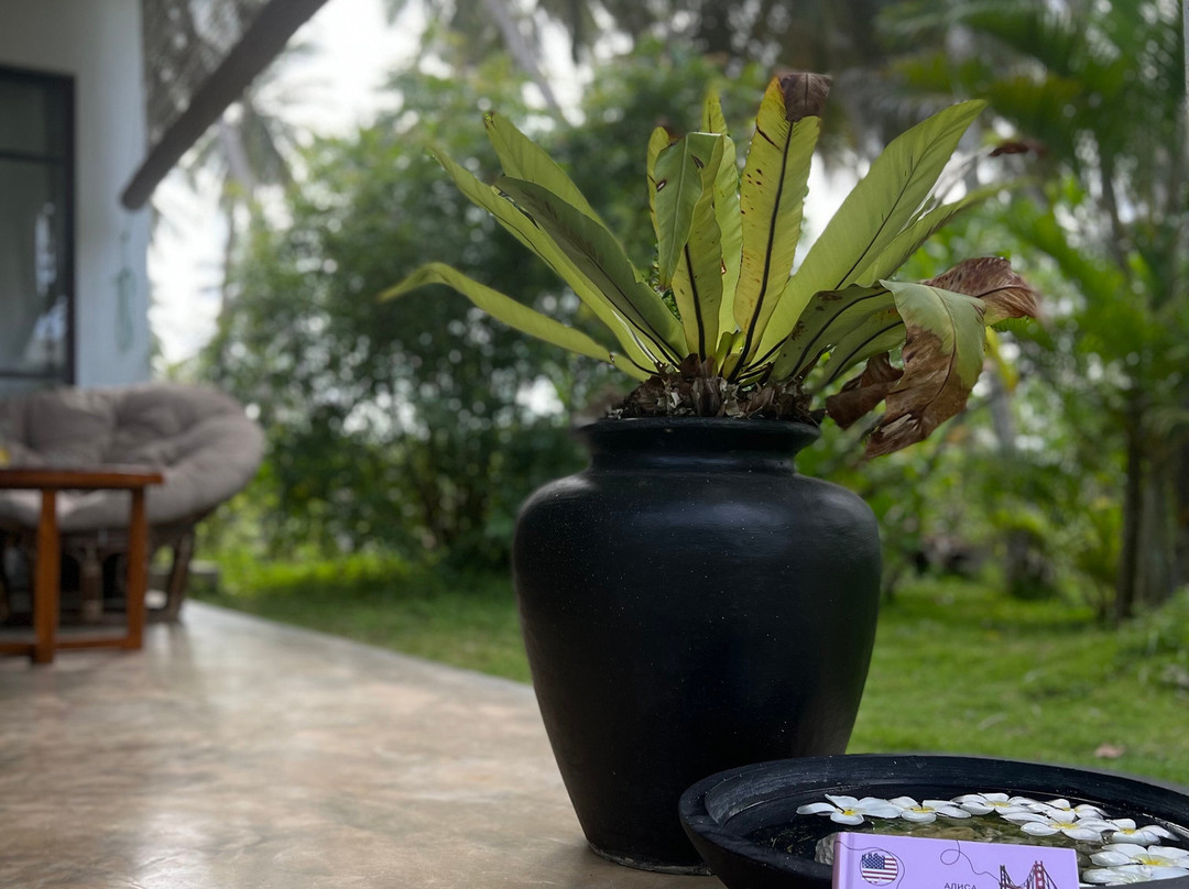 Mandala Villas主图