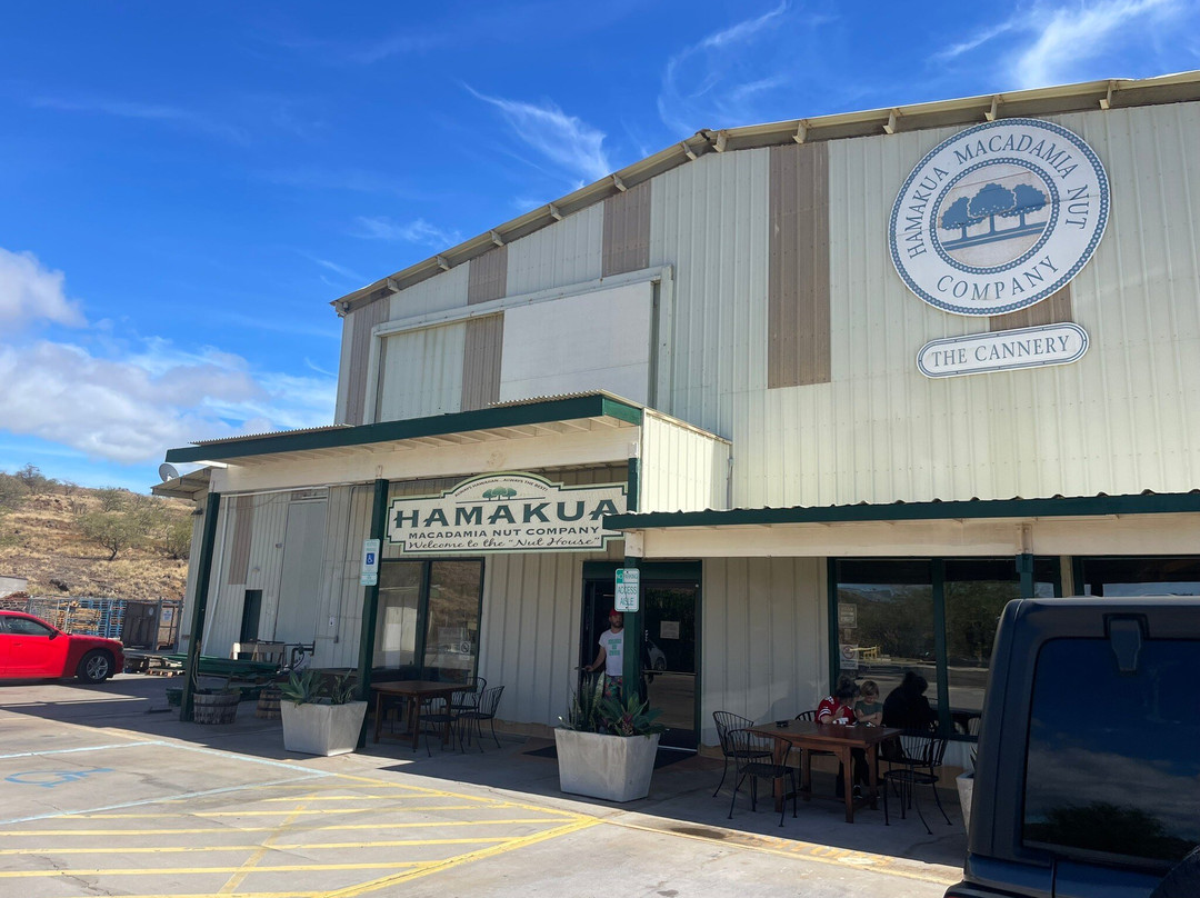 Hamakua Macadamia Nut Co-卡威哈也必去景点