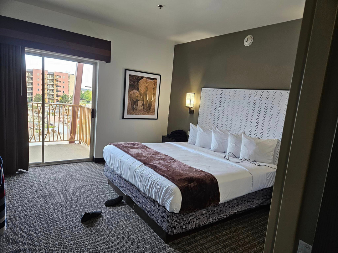 Kalahari Resorts & Conventions - Sandusky主图