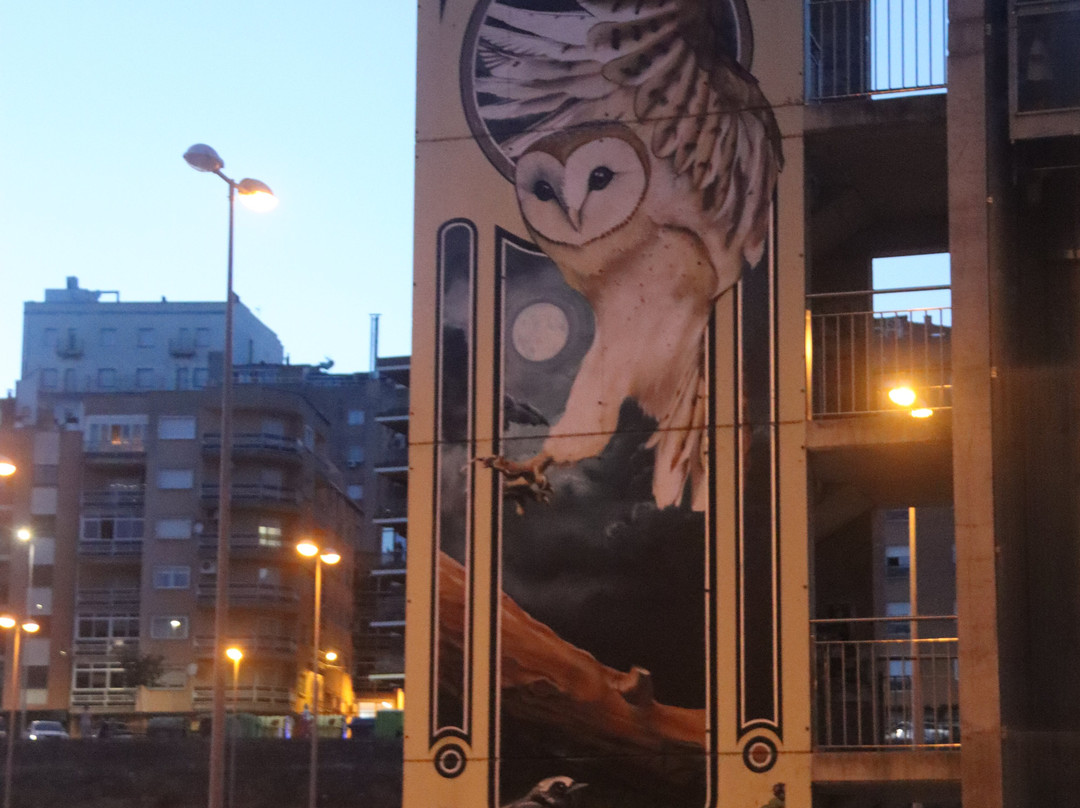 Parque de la Isla景点图片