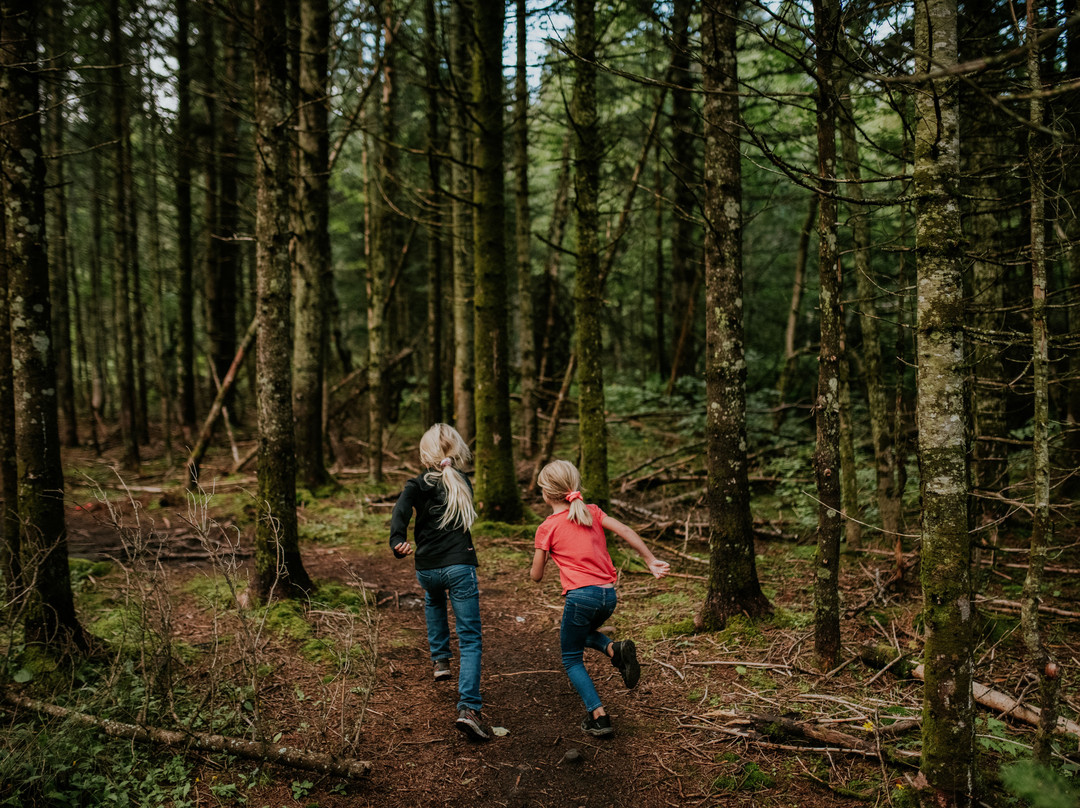 Domaine du Radar-魁北克市必去景点