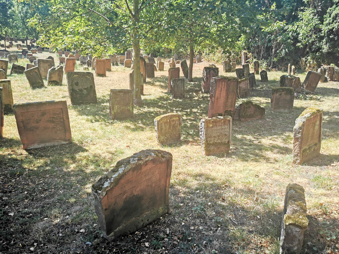 Jewish Cemetery "Holy Sands"-沃尔姆斯必去景点